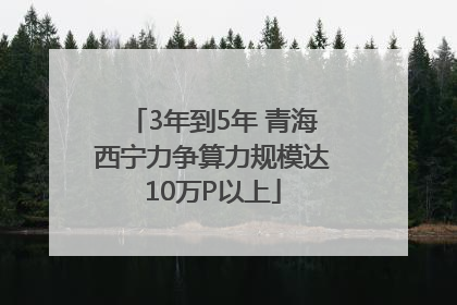 3年到5年 青海西宁力争算力规模达10万P以上