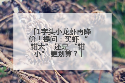 1字头小龙虾再降价！提问：买虾 “钳大” 还是 “钳小” 更划算？