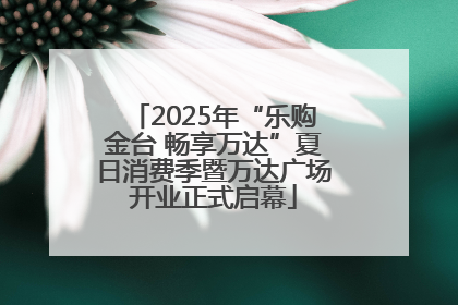 2025年“乐购金台 畅享万达”夏日消费季暨万达广场开业正式启幕