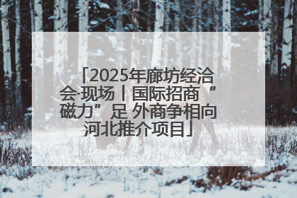 2025年廊坊经洽会·现场丨国际招商“磁力”足 外商争相向河北推介项目