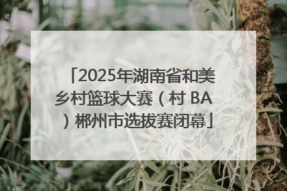 2025年湖南省和美乡村篮球大赛（村 BA）郴州市选拔赛闭幕