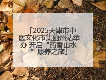 2025天津市中医文化市集蓟州站举办 开启“药香山水”康养之旅