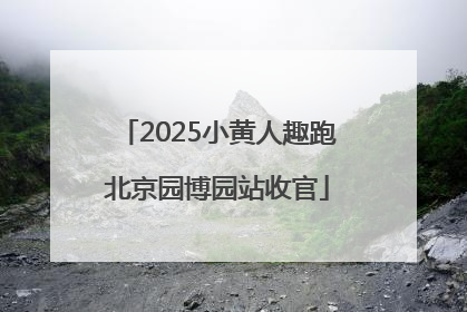 2025小黄人趣跑北京园博园站收官