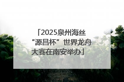 2025泉州海丝“源昌杯”世界龙舟大赛在南安举办