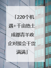 220个机遇+千亩热土 成都青羊政企对接会干货满满