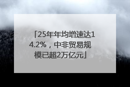 25年年均增速达14.2%，中非贸易规模已超2万亿元