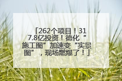 262个项目！317.8亿投资！德化“施工图”加速变“实景图”，现场燃爆了！