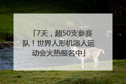 7天，超50支参赛队！世界人形机器人运动会火热报名中