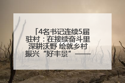 4名书记连续5届驻村：在接续奋斗里深耕沃野 绘就乡村振兴“好丰景”——浦发银行南京分行助力脱贫攻坚、帮促乡村振兴记事（二）