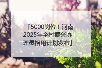 5000岗位！河南2025年乡村振兴协理员招用计划发布