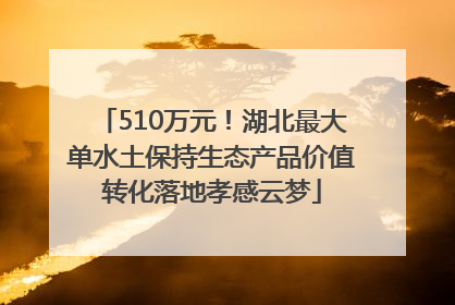 510万元！湖北最大单水土保持生态产品价值转化落地孝感云梦