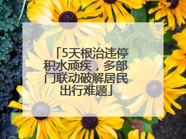 5天根治违停积水顽疾，多部门联动破解居民出行难题