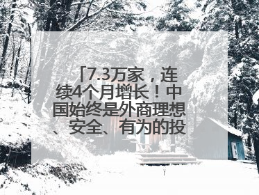 7.3万家，连续4个月增长！中国始终是外商理想、安全、有为的投资目的地