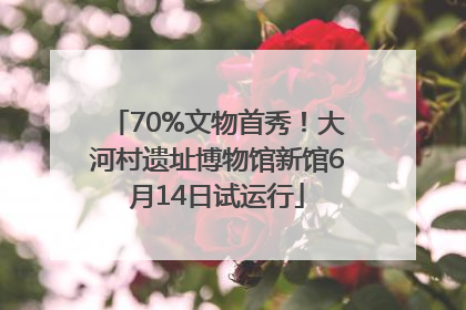 70%文物首秀！大河村遗址博物馆新馆6月14日试运行