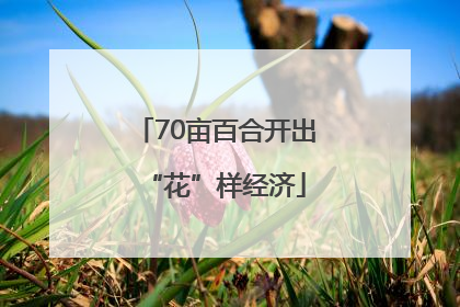 70亩百合开出“花”样经济