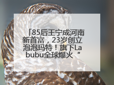 85后王宁成河南新首富，23岁创立泡泡玛特！旗下Labubu全球爆火“一娃难求”
