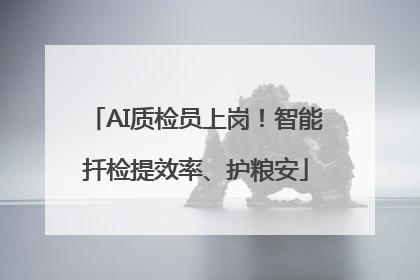 AI质检员上岗！智能扦检提效率、护粮安