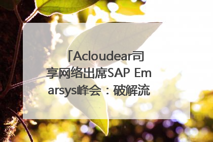 Acloudear司享网络出席SAP Emarsys峰会：破解流量困局，驱动精准增长