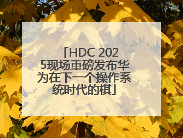 HDC 2025现场重磅发布华为在下一个操作系统时代的棋
